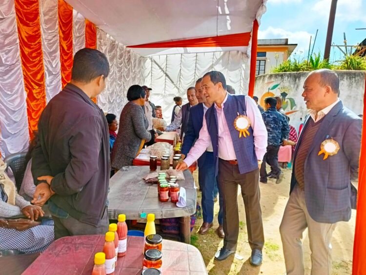 Horticulture exhibition held in Mawkyrwat