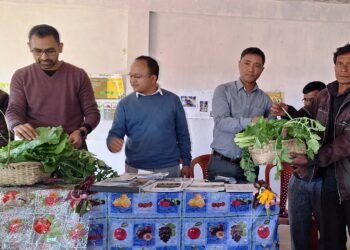 NESFAS touts school gardens for student meals