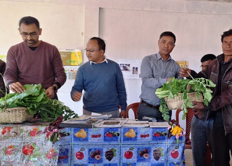 NESFAS touts school gardens for student meals