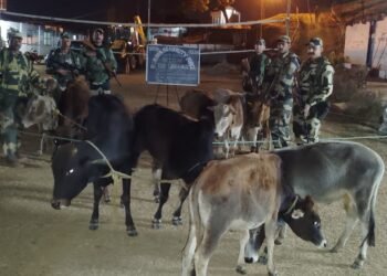 BSF foil smuggling attempts in special ops