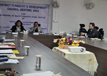 DPDC approves draft annual plan for depts in NGH