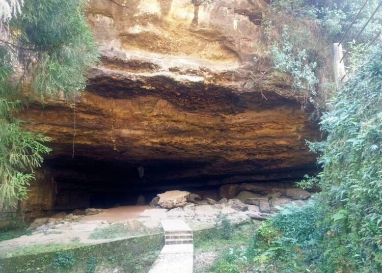 Tensions could spill over: HITO to Assam Govt