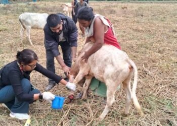 Animal vaccination camp held in WGH