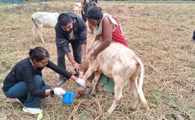 Animal vaccination camp held in WGH