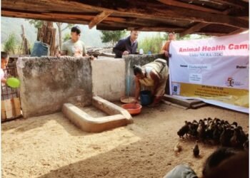 Health camp for animals held in Ri-Bhoi