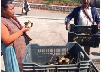 Training on duck farming held in Ri Bhoi