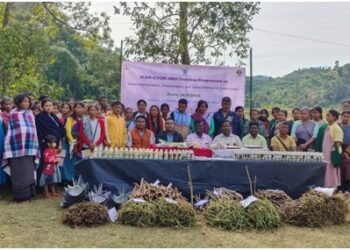 Farmers of tubers given training on improved varieties