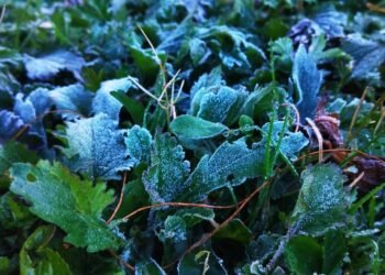 Health dept issues cold weather advisory