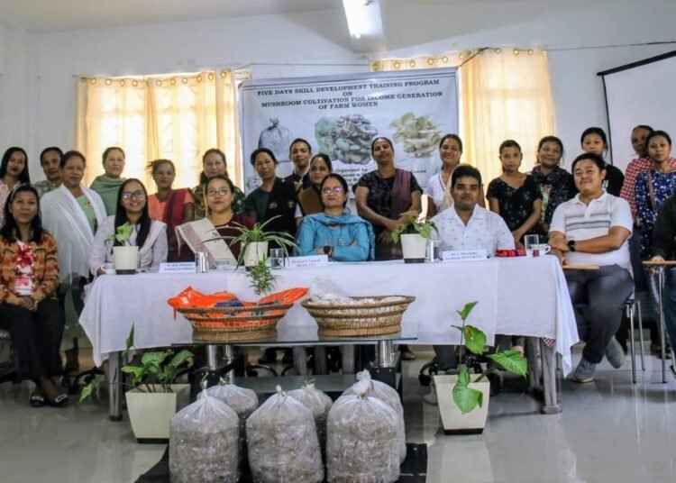 College of Community Science holds training programs