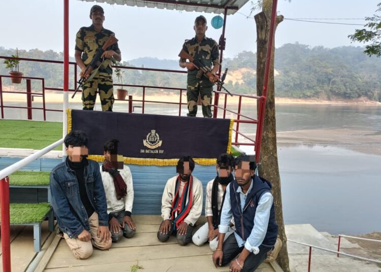 BSF apprehends 5 Bangladeshis along international border in Meghalaya