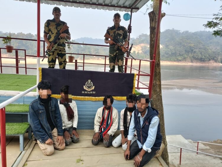 BSF apprehends 5 Bangladeshis along international border in Meghalaya