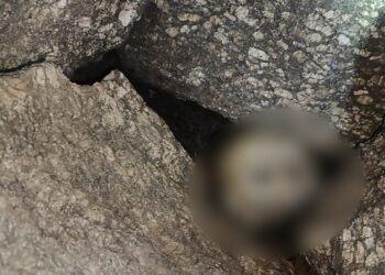 Human skeletal remains found in SWKH