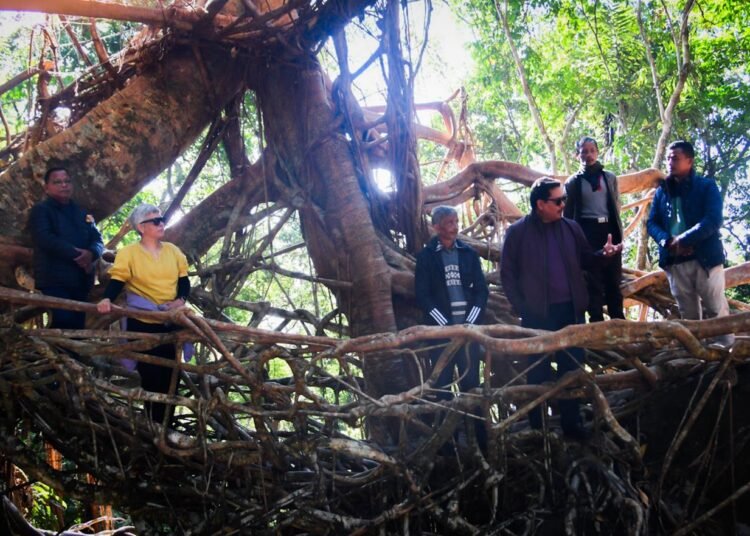 CM leads cabinet retreat to meet crafter of Umkar living root bridge