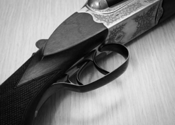Help us keep our WWI & WWII guns: GSMC to Murmu