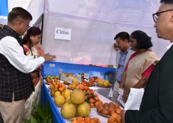 Citrus and tubers take centre stage at WGH crop fest