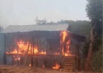 Fire guts house & stockpile of broom