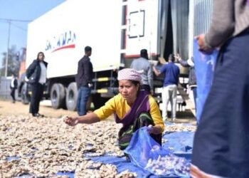 150 MT Meghalaya ginger shipped to Dubai