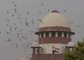 Informing accused grounds of arrest constitutional requirement: SC