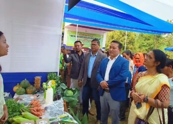 Horti mini mela ends KVK’s KSS week