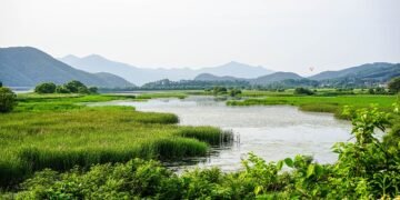 Meghalaya HC initiates PIL for conservation and preservation of wetlands