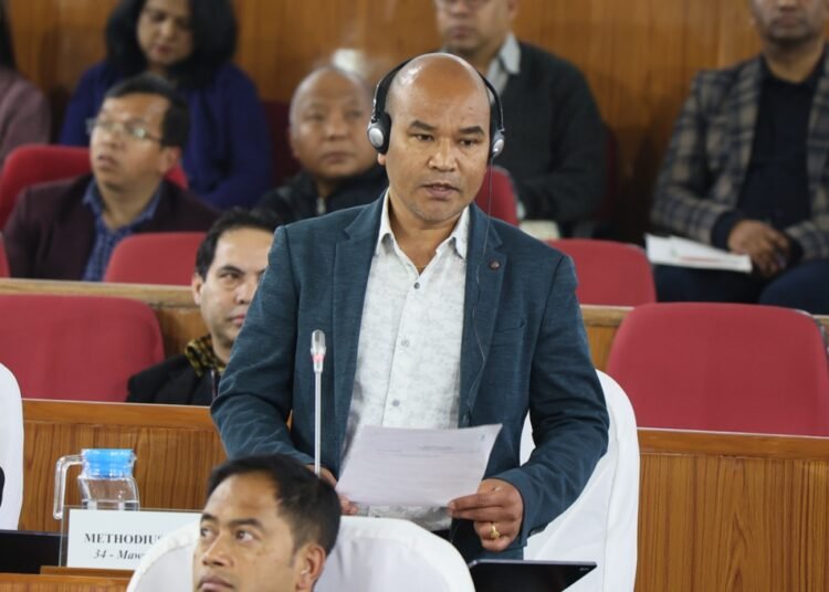 Mawshynrut MLA lays needs of constituency