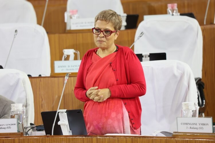 Palliative care is costly, says Health Minister