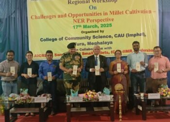 Potential for NE millet production explored in workshop