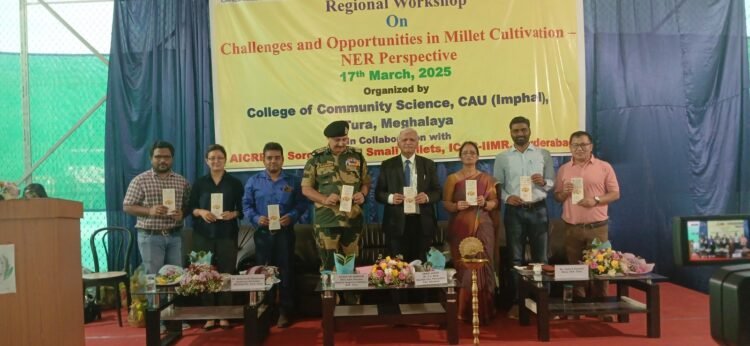 Potential for NE millet production explored in workshop