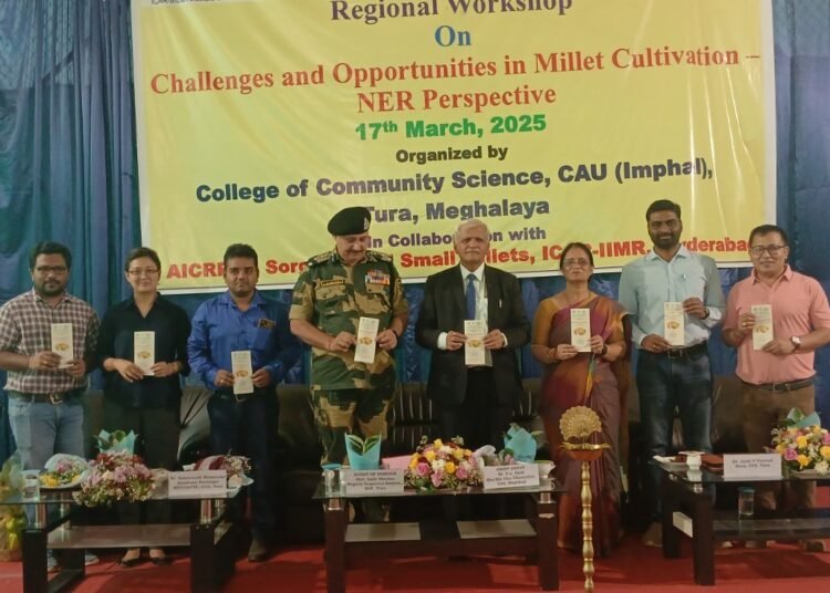 Potential for NE millet production explored in workshop