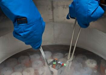 Preserving Fertility for the Future- Freezing Eggs