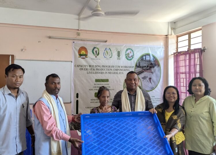 Meghalaya turning into a hub for high-quality Eri Silk production