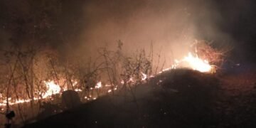 Major fire averted, Ri-Bhoi DM bans burning of forests