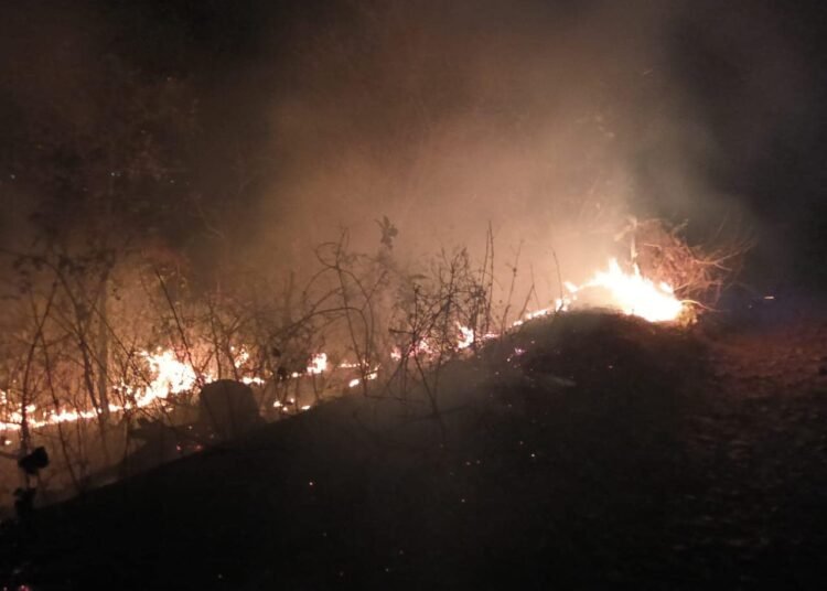 Major fire averted, Ri-Bhoi DM bans burning of forests