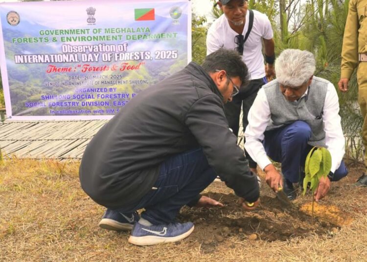 International Day of Forests observed in Meghalaya