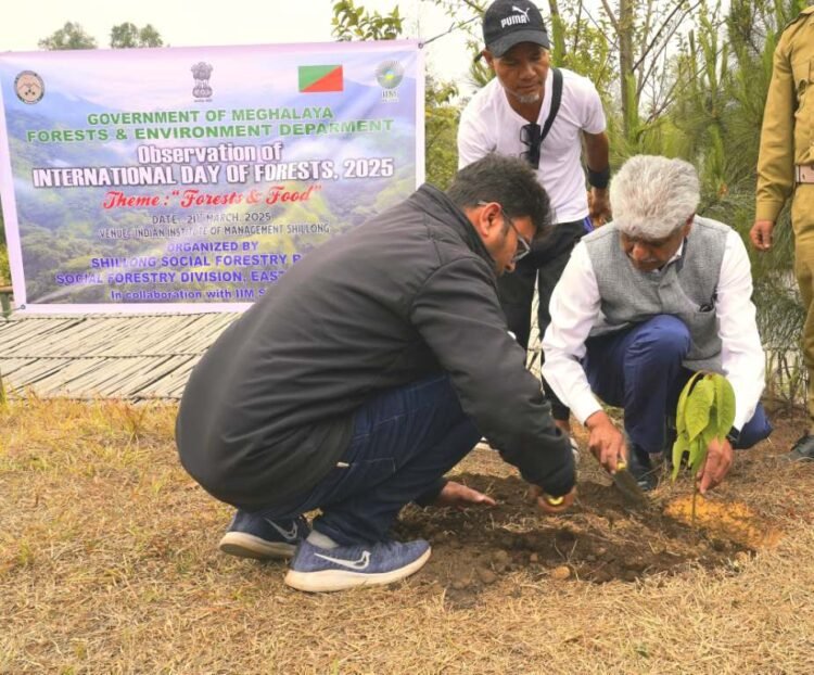 International Day of Forests observed in Meghalaya