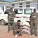 Sugar smuggler bagged by BSF