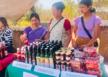 KVK holds fish & strawberry festival in Ri Bhoi villages