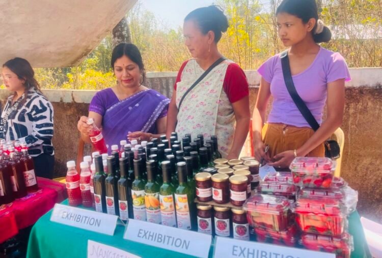 KVK holds fish & strawberry festival in Ri Bhoi villages