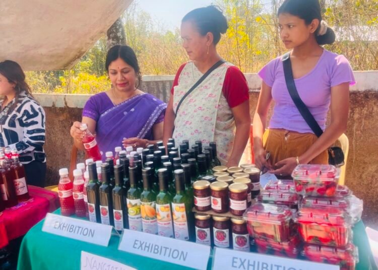 KVK holds fish & strawberry festival in Ri Bhoi villages