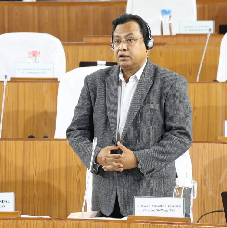 Technical, procedural hurdles delay Mawlai power substation upgrade