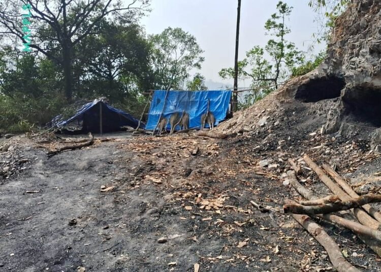 Green group writes to NGT over coal mining near Balpakram