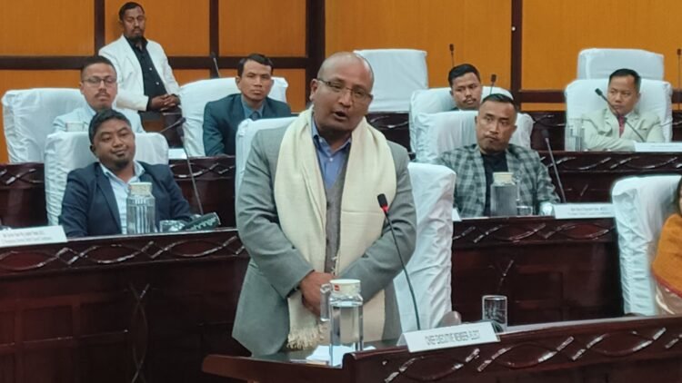 KHADC CEM allocates portfolios among EMs