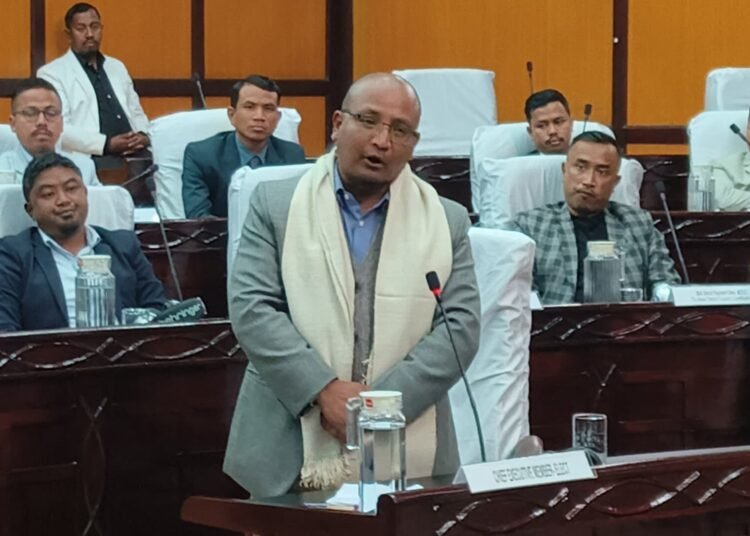 KHADC CEM allocates portfolios among EMs