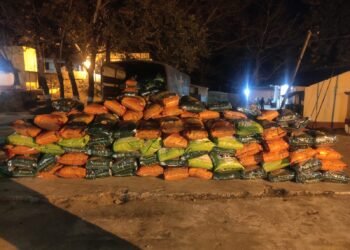 Rs 2 cr worth of drugs, other items & 11 arrested by BSF in last fortnight