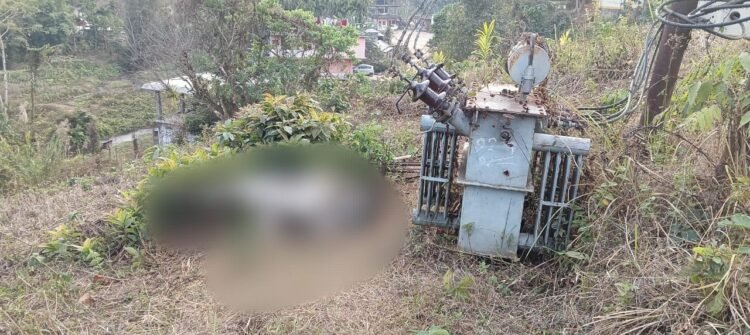 Cow electrocuted by unprotected transformer