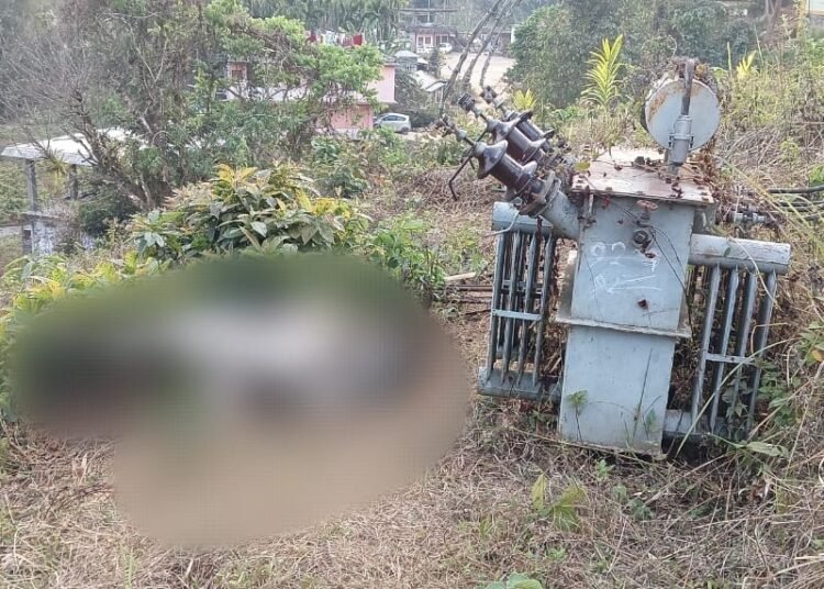 Cow electrocuted by unprotected transformer