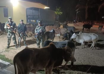 BSF seize goods worth Rs 27 lakh