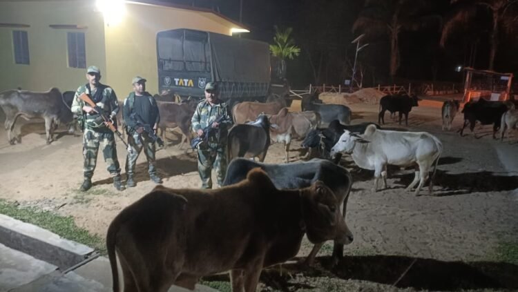 BSF seize goods worth Rs 27 lakh