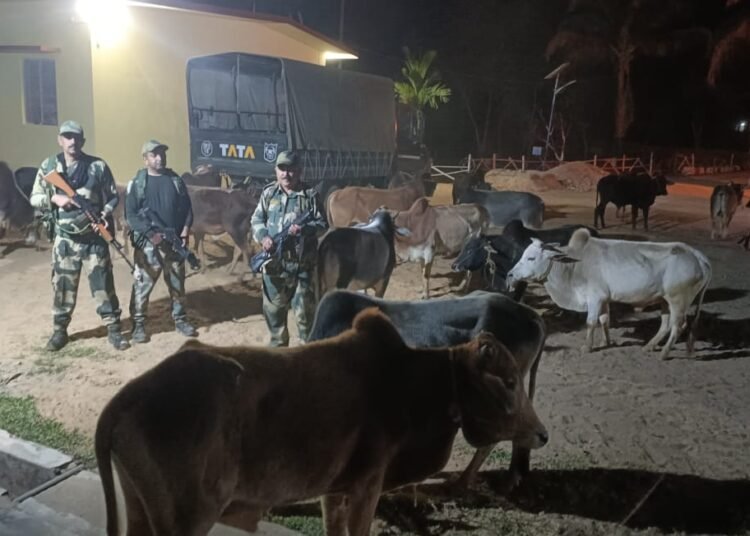 BSF seize goods worth Rs 27 lakh