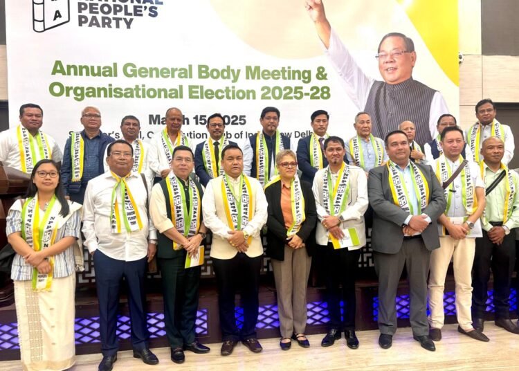 Conrad re-elected NPP president